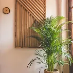 Mini-hôtel Pietra Eco