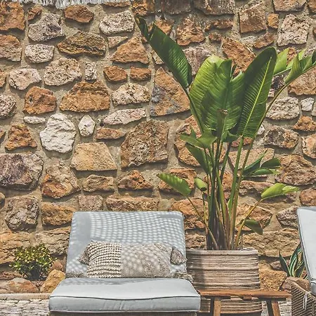 Pietra Eco イン